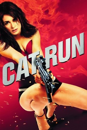 Cat Run free