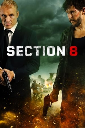 Section 8 free