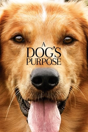 A Dog's Purpose free