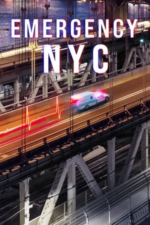Emergency: NYC [season 1] free