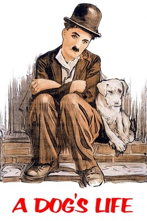 A Dog's Life free
