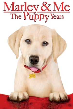 Marley & Me: The Puppy Years free