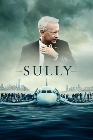 Sully free
