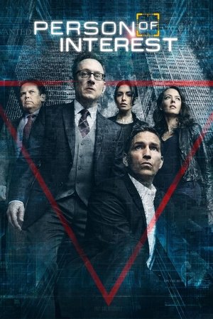 Person of Interest [season 2] free