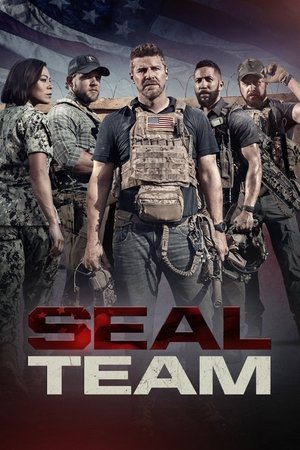 SEAL Team [season 5] free