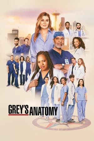 Grey's Anatomy [season 3] free