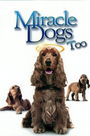 Miracle Dogs Too free