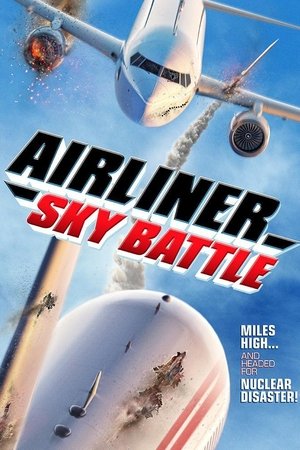 Airliner Sky Battle free