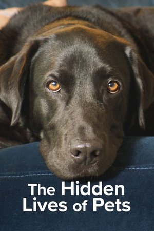 The Secret Life of Our Pets [season 1] free