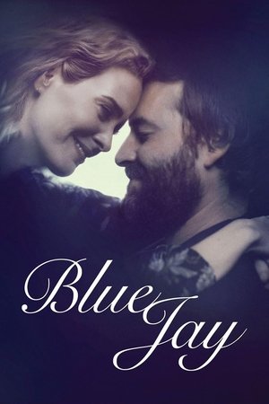Blue Jay free