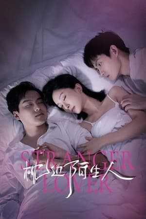 My Stranger Husband [season 1] free