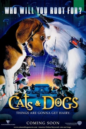 Cats & Dogs free