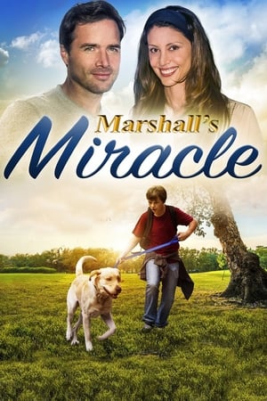 Marshall's Miracle free