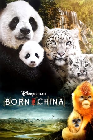 Born in China free