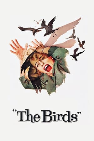 The Birds free