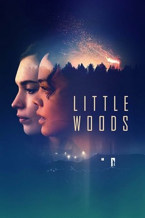 Little Woods free