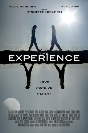 The Experience free