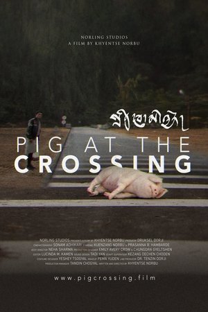 Pig at the Crossing free