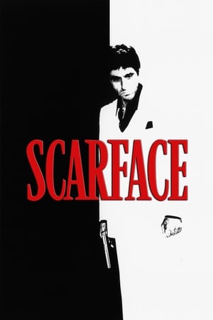 Scarface free