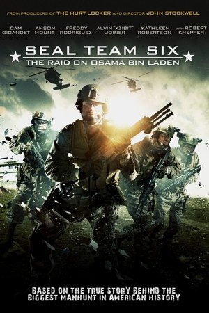 Seal Team Six: The Raid on Osama Bin Laden free