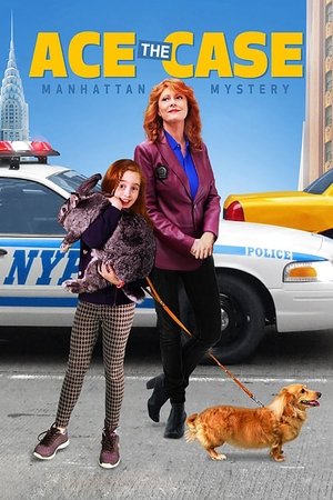 Ace the Case: Manhattan Mystery free