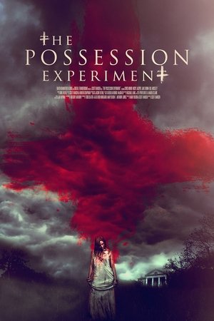 The Possession Experiment free