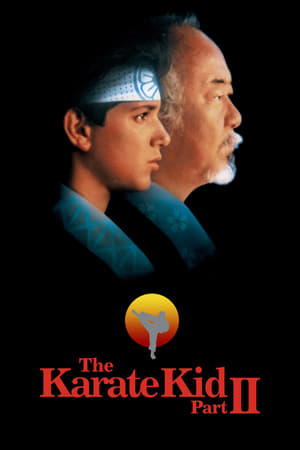 The Karate Kid Part II free