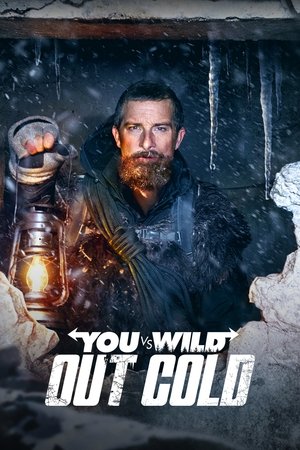 You vs. Wild: Out Cold free
