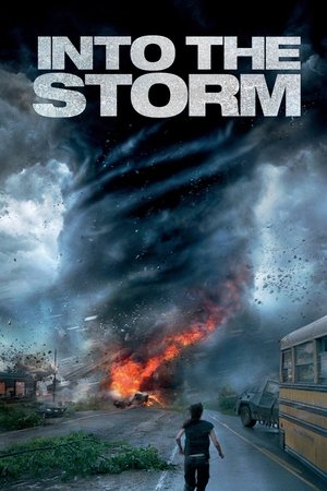 Into the Storm free