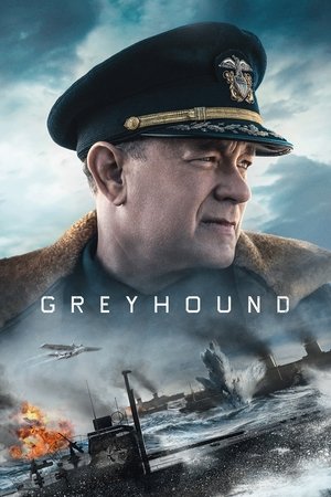 Greyhound free