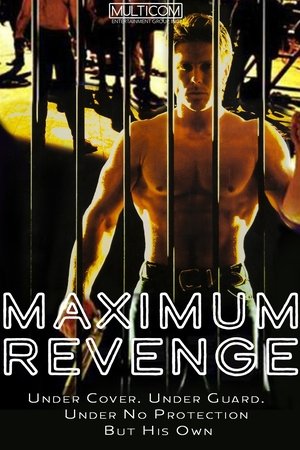 Maximum Security free
