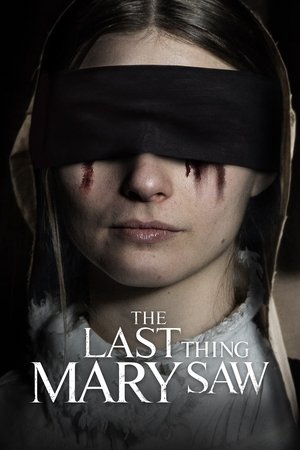 The Last Thing Mary Saw free