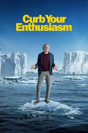 Curb Your Enthusiasm [season 12] free