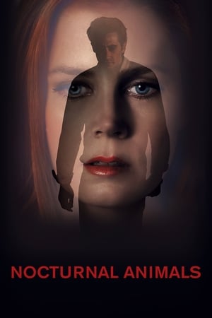 Nocturnal Animals free