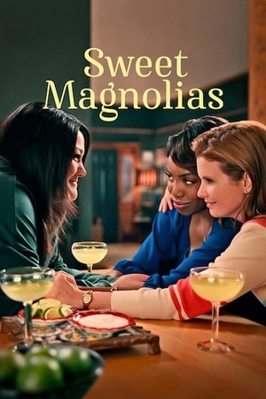 Sweet Magnolias [season 2] free