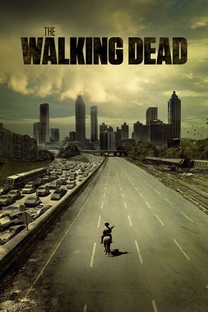 The Walking Dead [season 10] free