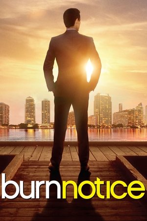 Burn Notice [season 1] free