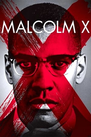 Malcolm X free