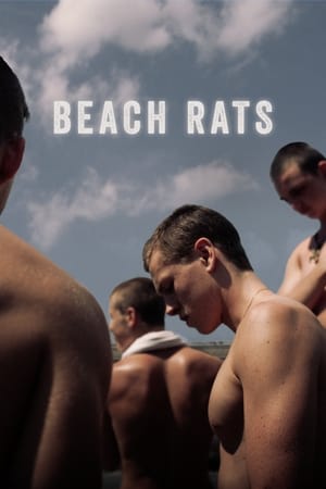 Beach Rats free