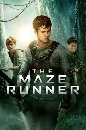 The Maze Runner free