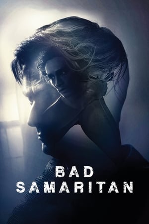 Bad Samaritan free