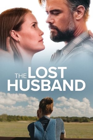 The Lost Husband free