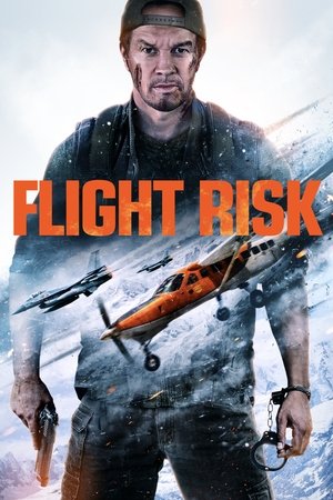 Flight Risk free