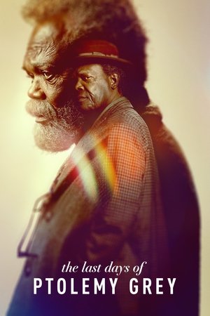The Last Days of Ptolemy Grey [season 1] free