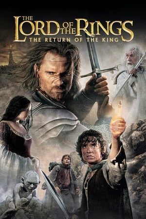 The Lord of the Rings: The Return of the King free