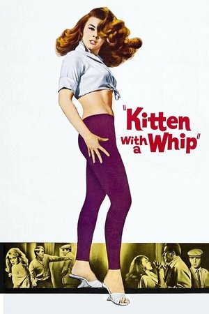 Kitten with a Whip free