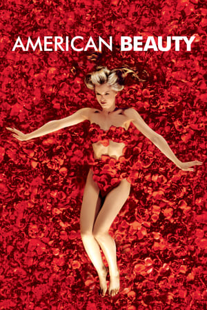 American Beauty free