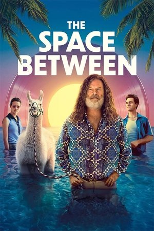 The Space Between free