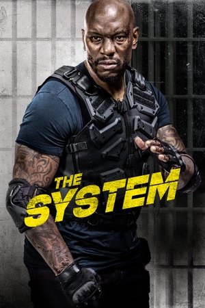 The System free