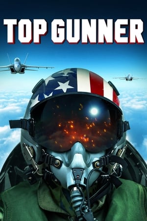 Top Gunner free